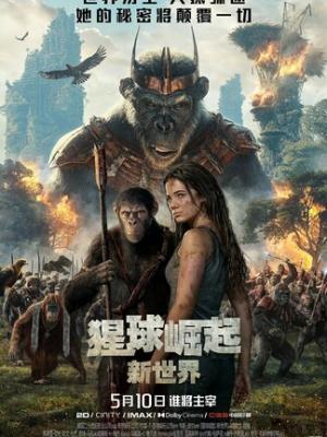 MV封面
